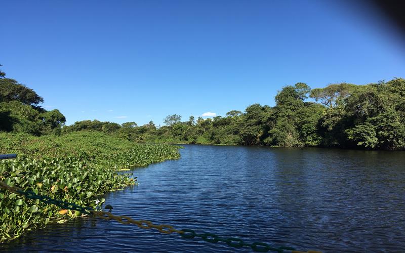 Roteiro de 02 dias no Pantanal 