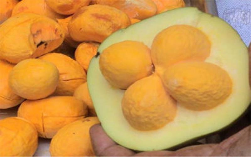 Frutos do Cerrado - Ricos em nutrientes e sabor