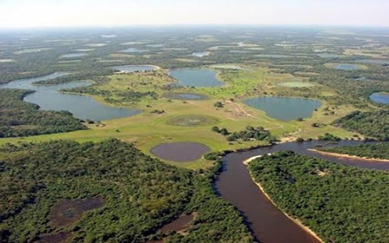 Parque Estadual do Pantanal
